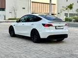 Tesla Model Y Performance 2024