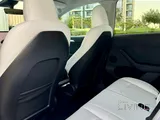 Tesla Model Y Performance 2024
