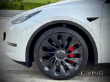 Tesla Model Y Performance 2024