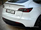 Tesla Model Y Performance 2024