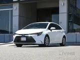 Toyota Corolla LE 2026