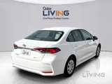 Toyota Corolla Xli 2023