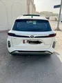 Urban cruiser 2025