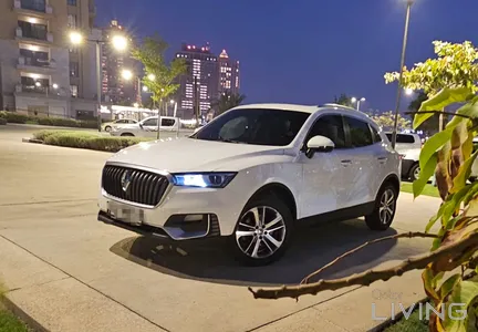 Borgward BX 5 2019