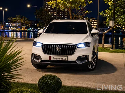 Borgward BX 5 2019