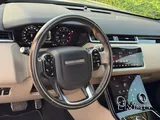 Velar