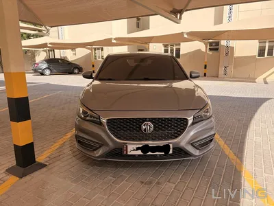 MG 6  2020