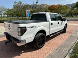 Very wel maintained F150, by Dutch expat.