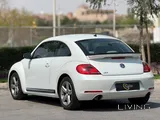 Volkswagen Beetle 2015