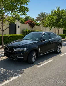 BMW X6 35i  2018